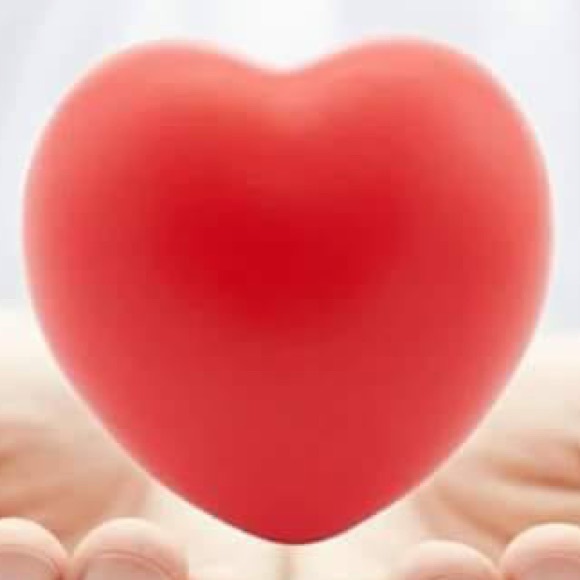 Meet your Posher, Elliot - Picture 1 of 1